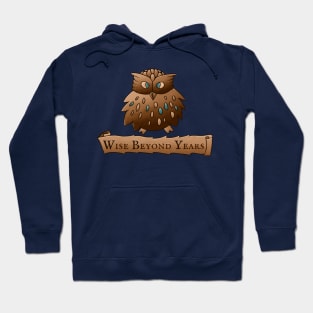 Fluffy Wisdom Owl with Scroll - Wise Beyond Years Hoodie